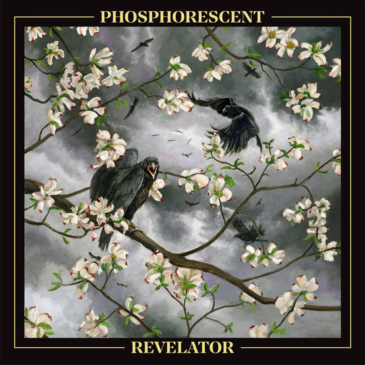 Phosphorescent: Revelator (CD)