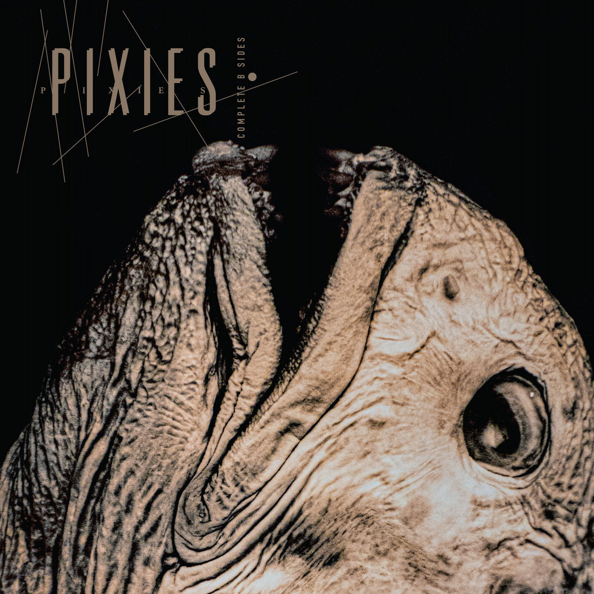 Pixies: Complete B Sides 1988-97 - Remaster (Vinyl 2xLP)