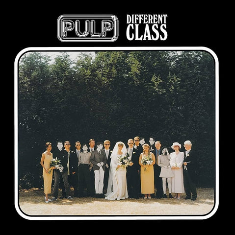 Pulp: A Different Class (Vinyl LP)