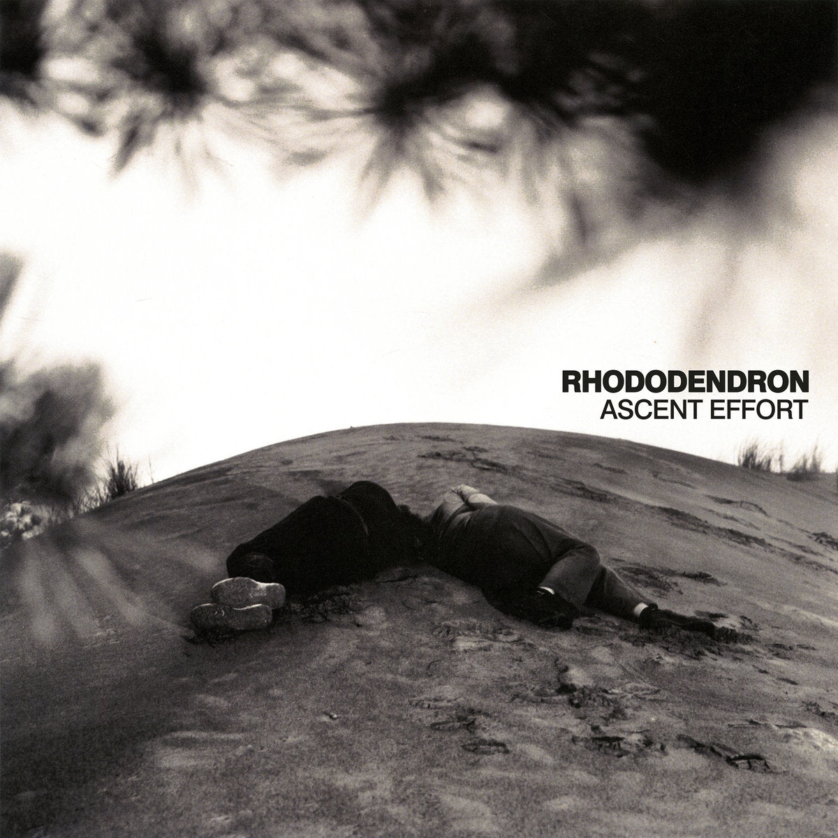 Rhododendron: Ascent Effort (Vinyl LP)
