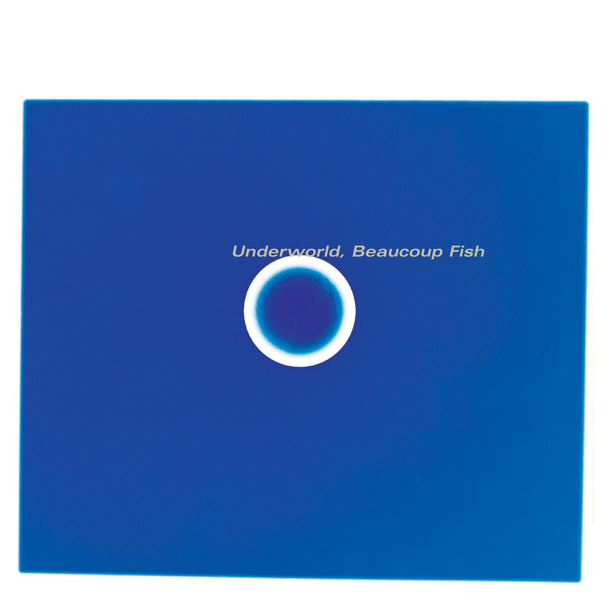 Underworld: Beaucoup Fish (Used Vinyl 2xLP)