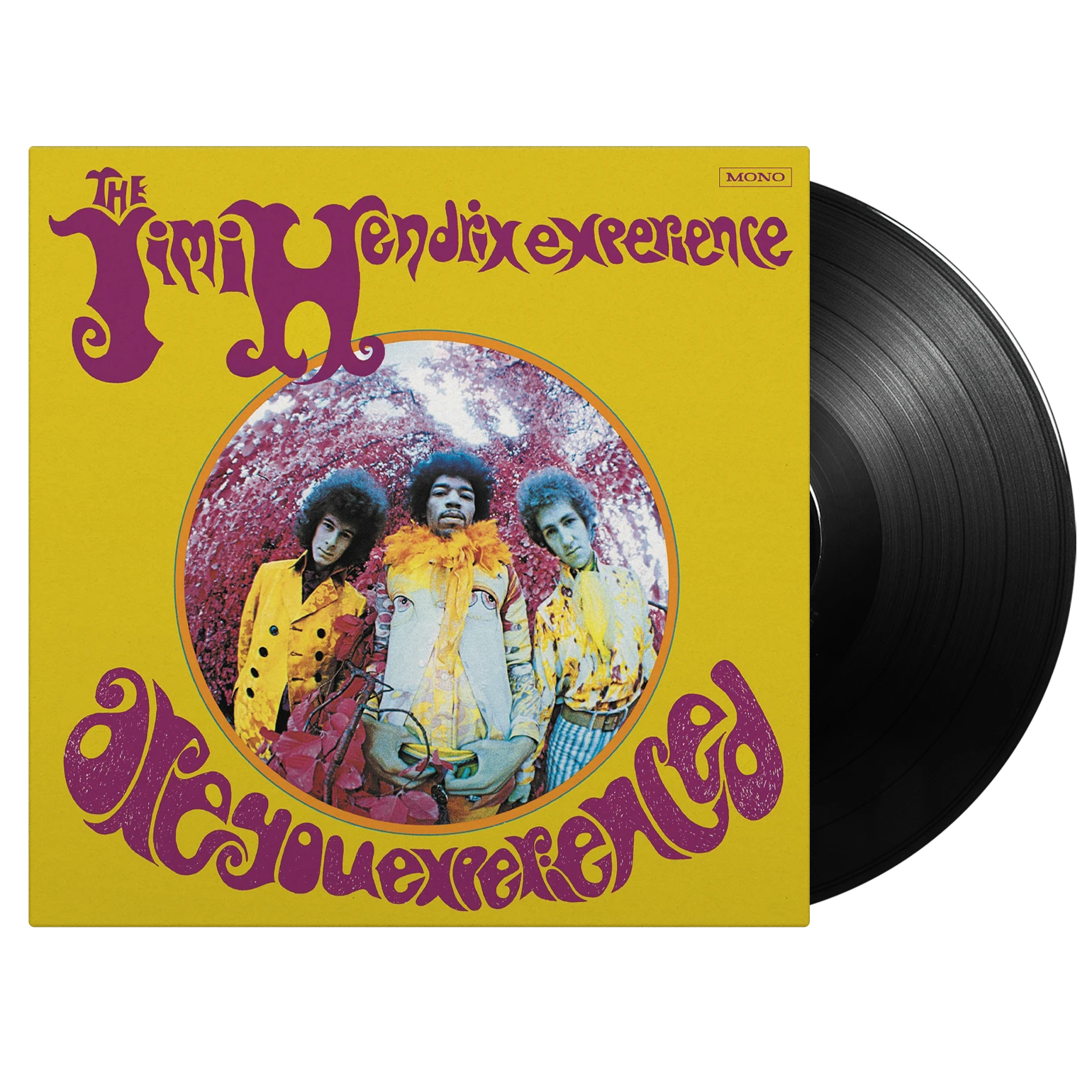 Jimi Hendrix Experience, The: Are You Experienced - Mono (Vinyl LP)