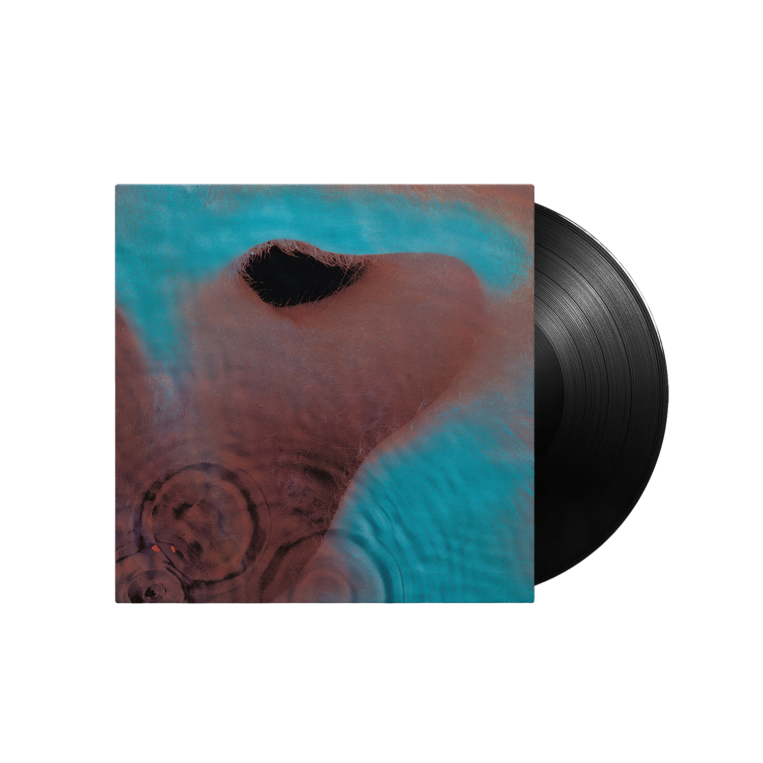 Pink Floyd: Meddle (Vinyl LP)