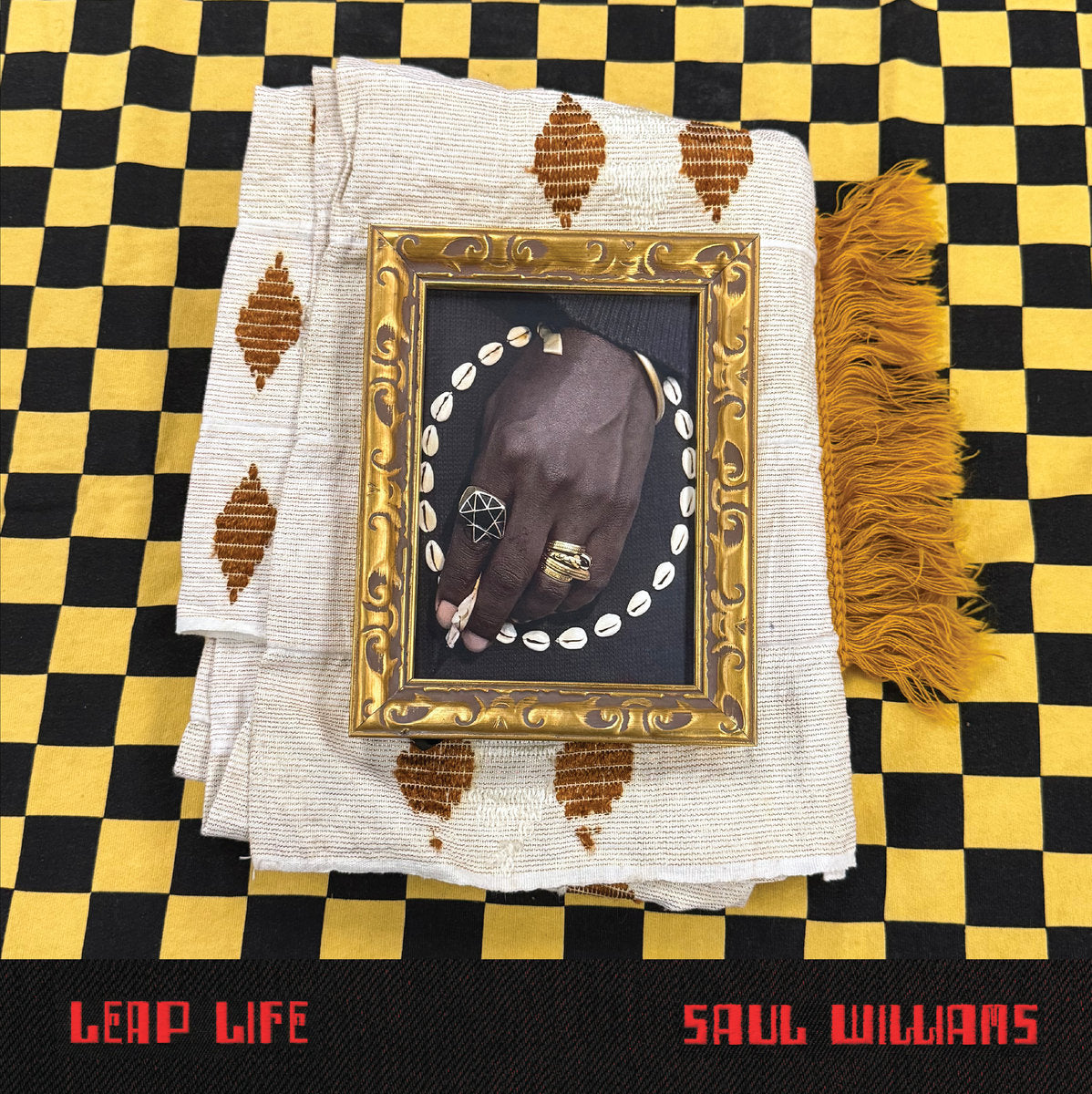 Pre-Order 28/08/26 - Williams, Saul: Leap Life (Vinyl 2xLP)