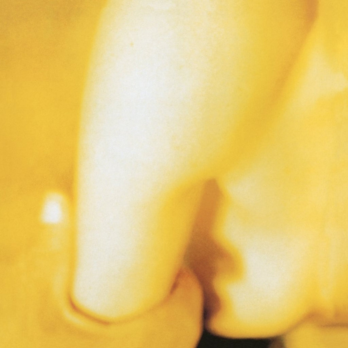 Smashing Pumpkins, The: Pisces Iscariot