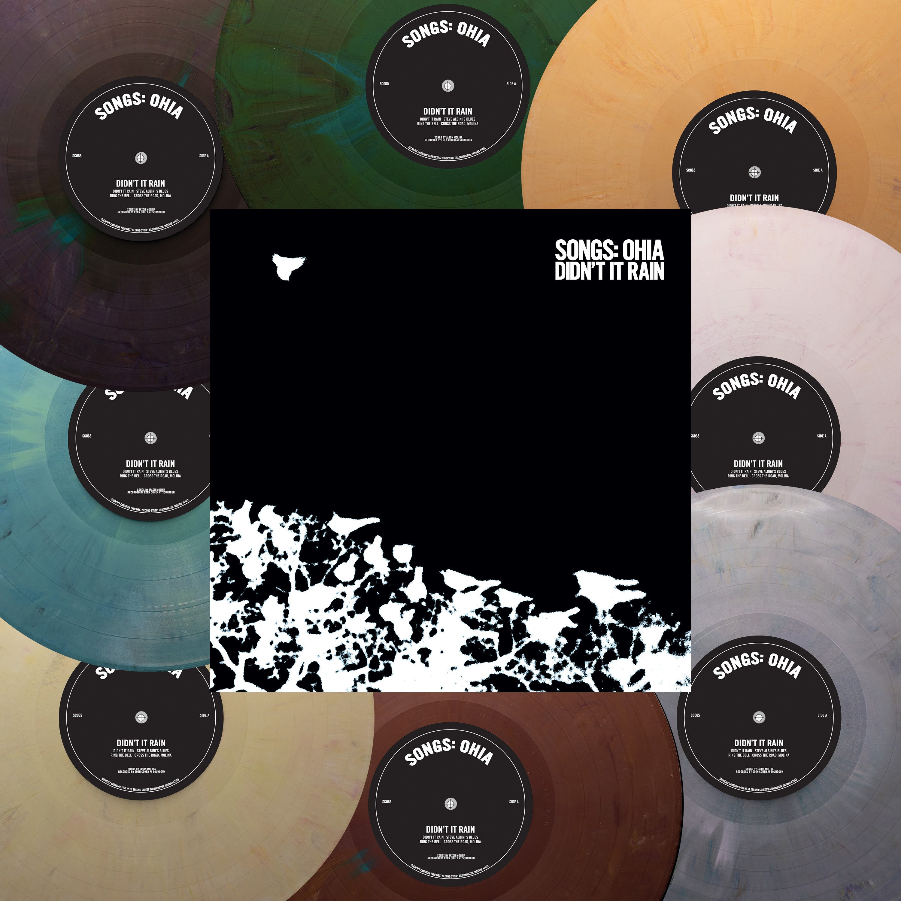 Pre-Order 18/09/26 - Songs:Ohia: Didn’t It Rain (ReVINYL Edition) (Vinyl LP)