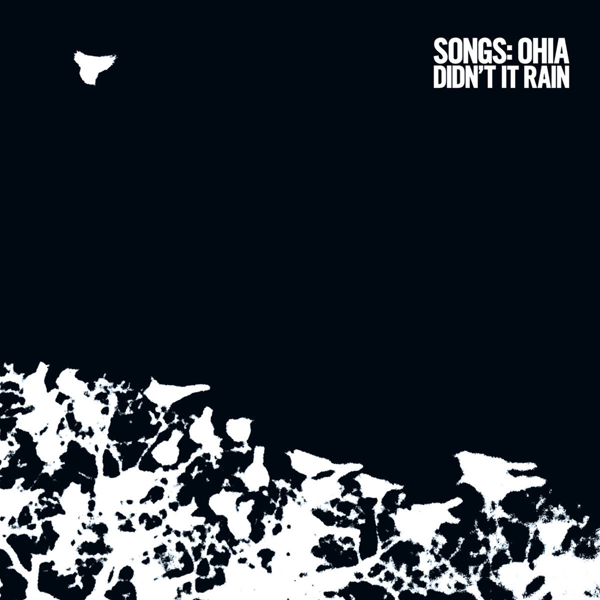 Pre-Order 18/09/26 - Songs:Ohia: Didn’t It Rain (ReVINYL Edition) (Vinyl LP)