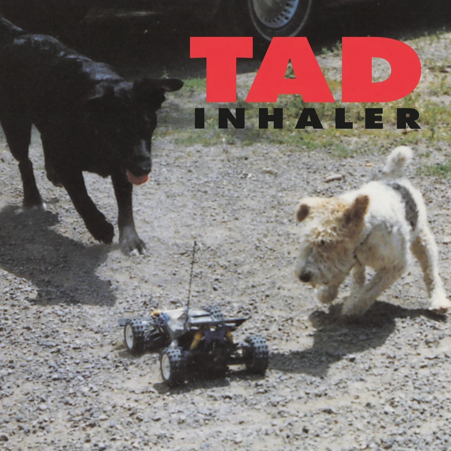 Tad: Inhaler (Vinyl LP)