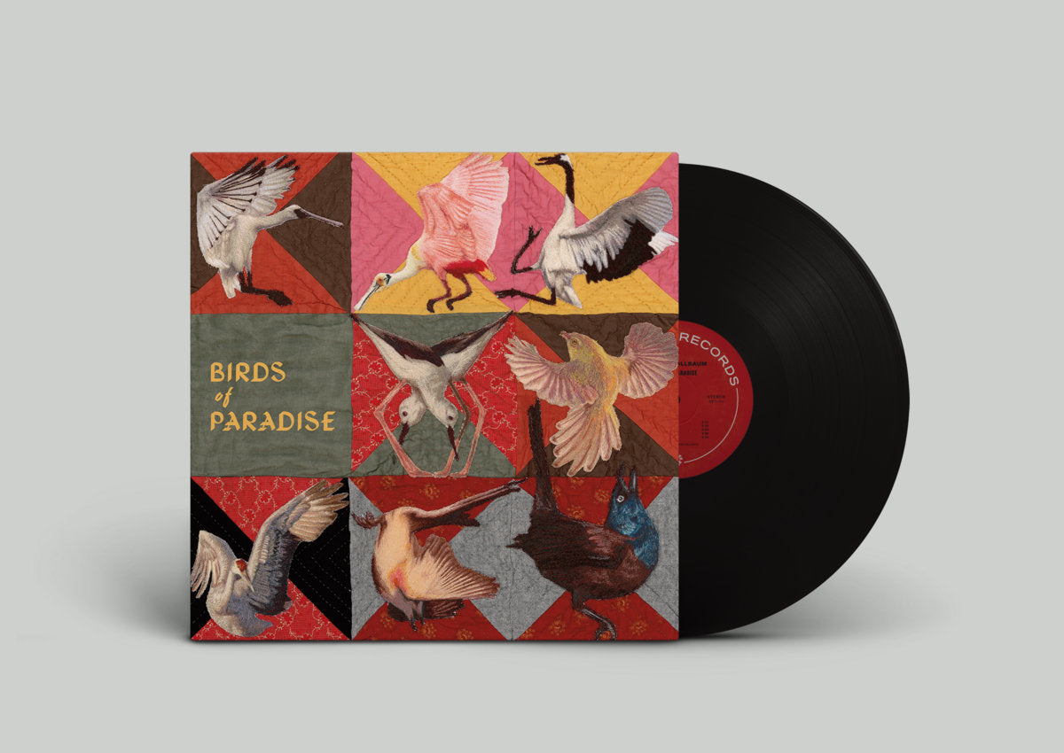 Pre-Order 22/05/26 - Dollbaum, Thomas: Birds Of Paradise (Vinyl LP)