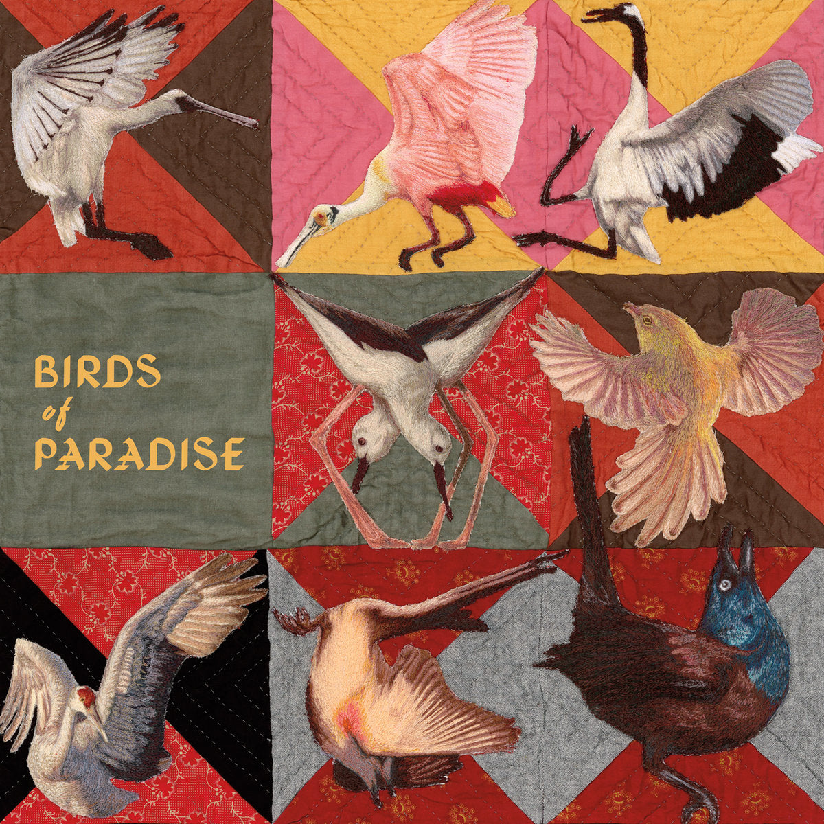 Pre-Order 22/05/26 - Dollbaum, Thomas: Birds Of Paradise (Vinyl LP)