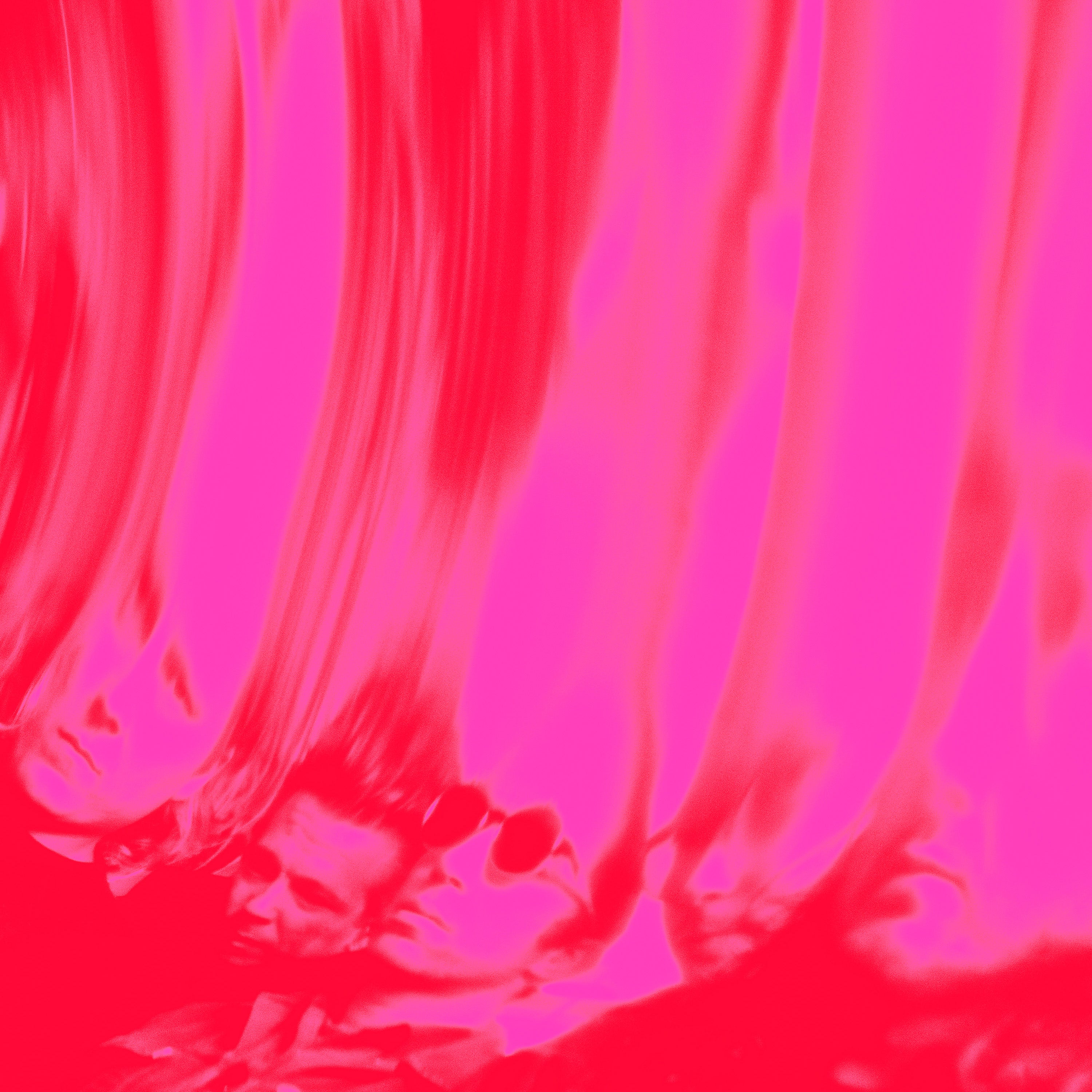 Pre-Order 28/08/26 - Segall, Ty: Love Fuzzz (Vinyl EP)