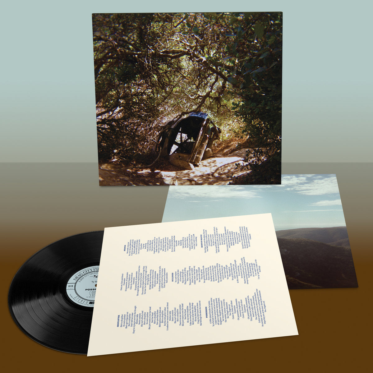 Segall, Ty: Possession (Vinyl LP)