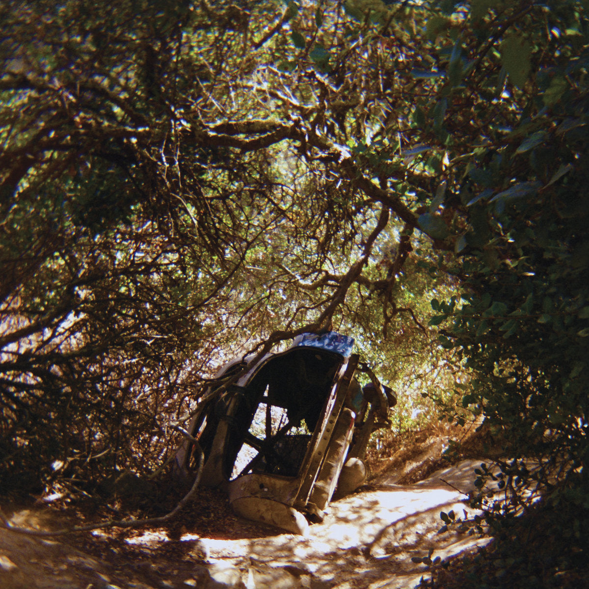 Segall, Ty: Possession (Vinyl LP)
