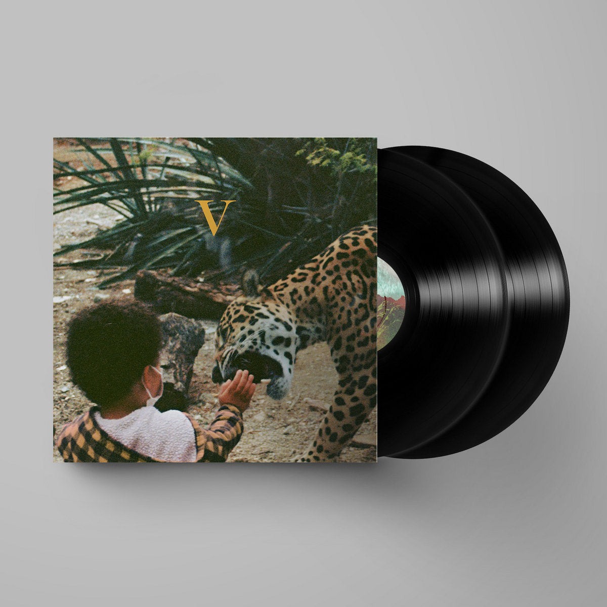 Unknown Mortal Orchestra: V (Vinyl 2xLP)