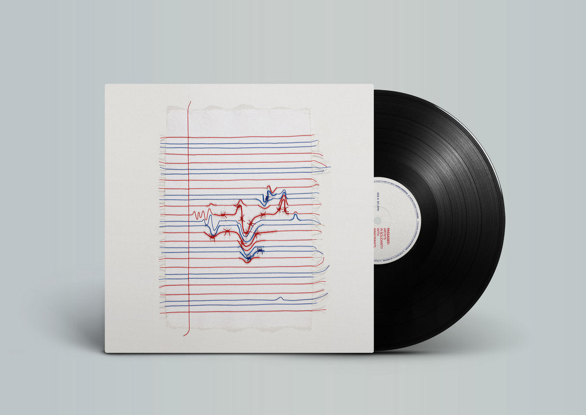 Various Artists: Passages - Artists In Solidarity With Immigrants, Refugees & Asylum Seekers (Vinyl LP)