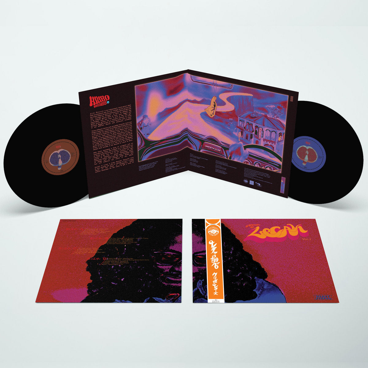 Various Artists: Sounds Of Lecak Vol. 1 (Vinyl 2xLP)