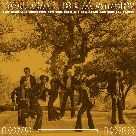 Various Artists: You Can Be A Star! - Deep Disco & Crossover Soul From The Now-Again & Soul-Cal Vaults 1972-1982 (Vinyl LP)