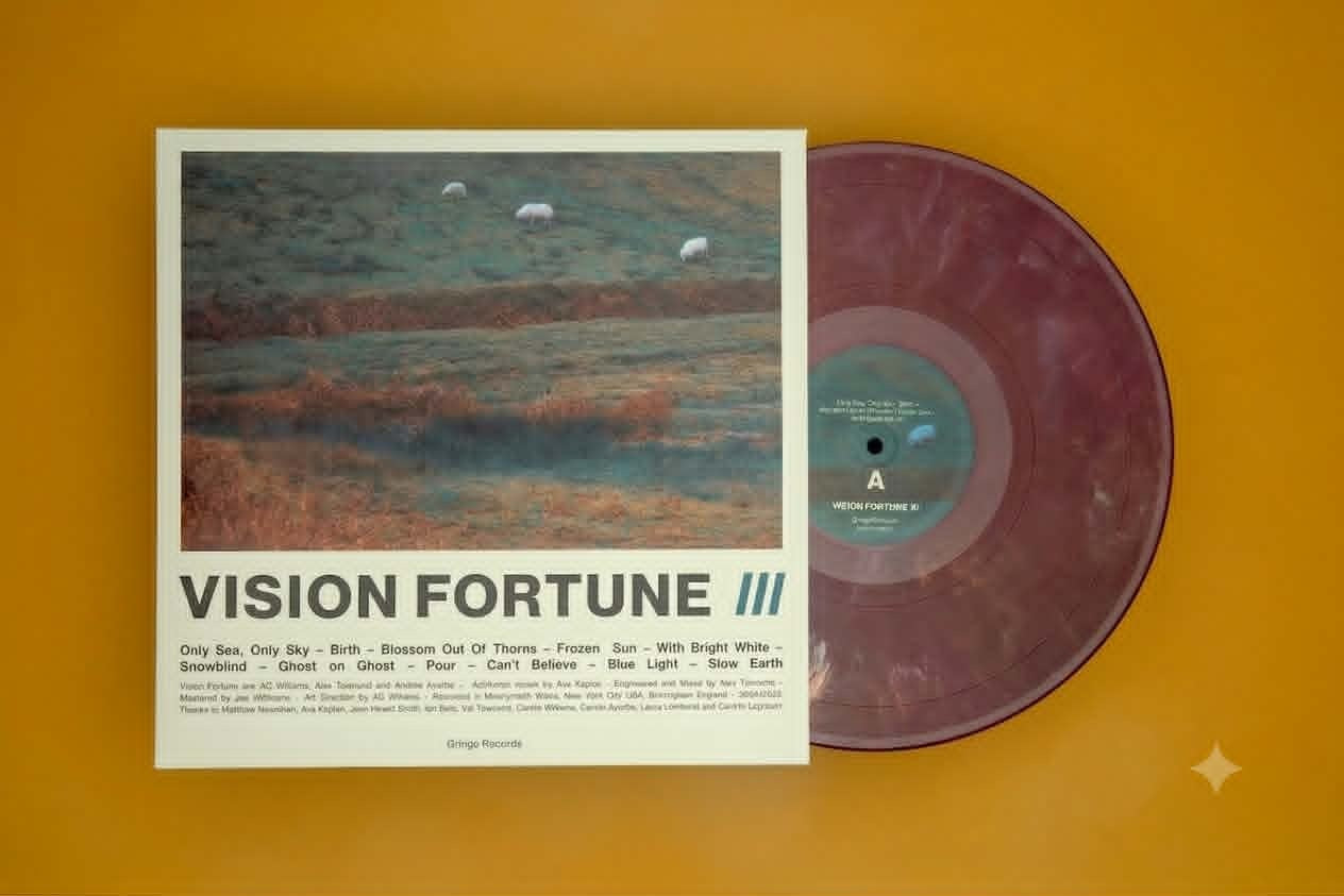 Pre-Order 02/10/26 - Vision Fortune: III (Coloured Vinyl LP)
