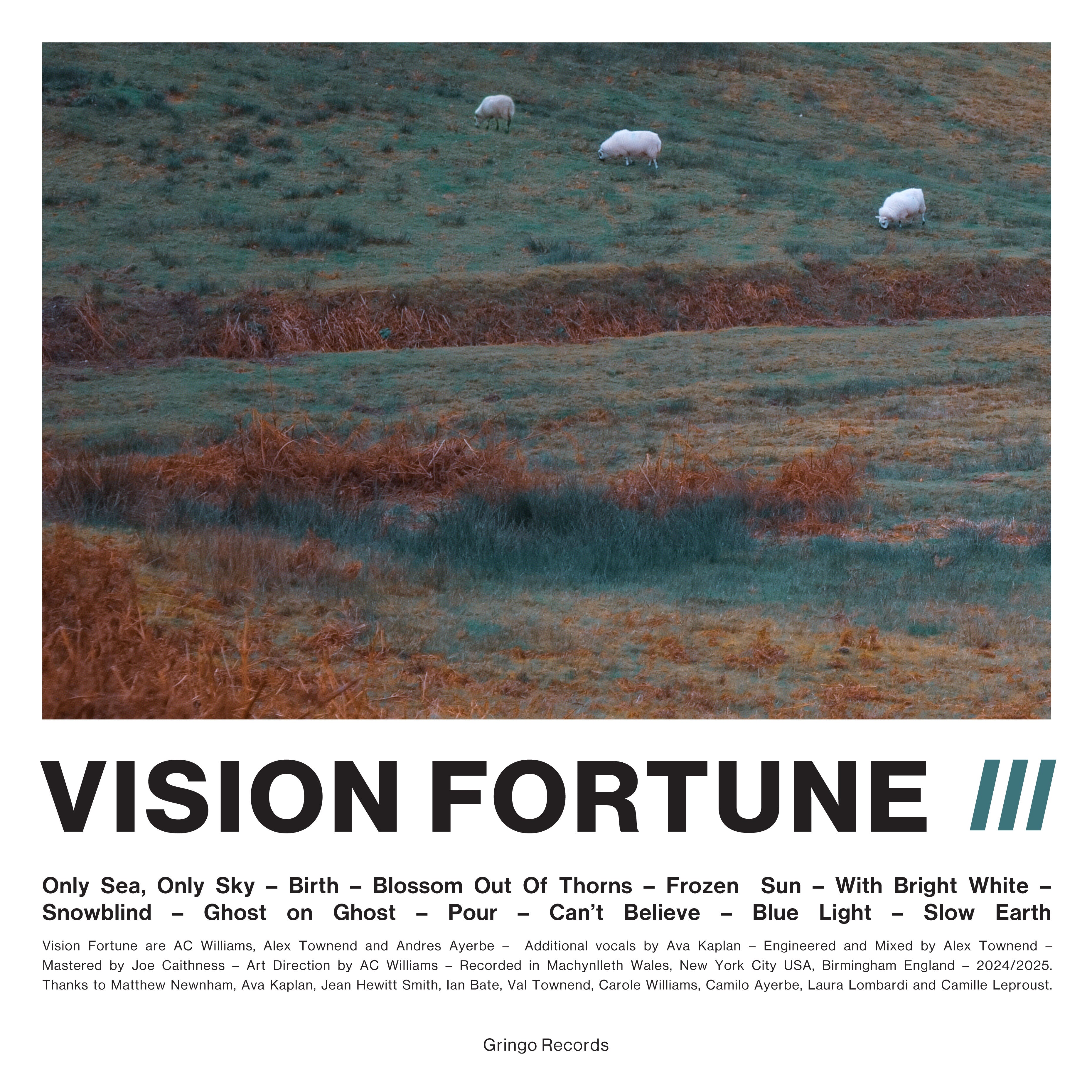 Pre-Order 02/10/26 - Vision Fortune: III (Coloured Vinyl LP)