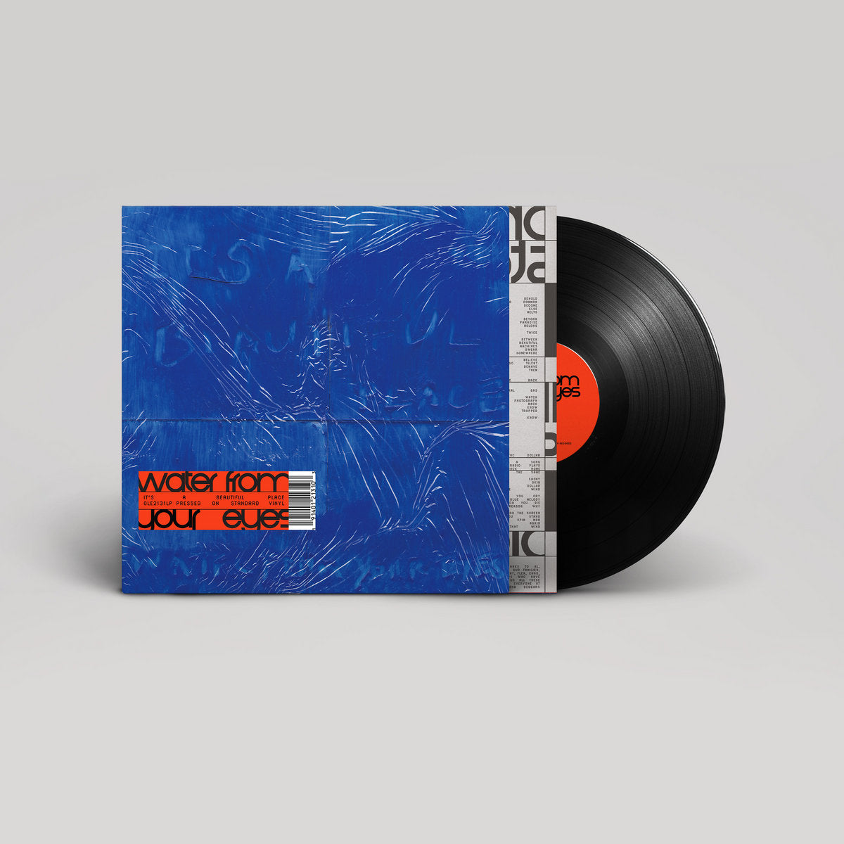 Water From Your Eyes: It's A Beautiful Place (Vinyl LP)