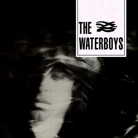 Waterboys, The: The Waterboys (Vinyl LP)