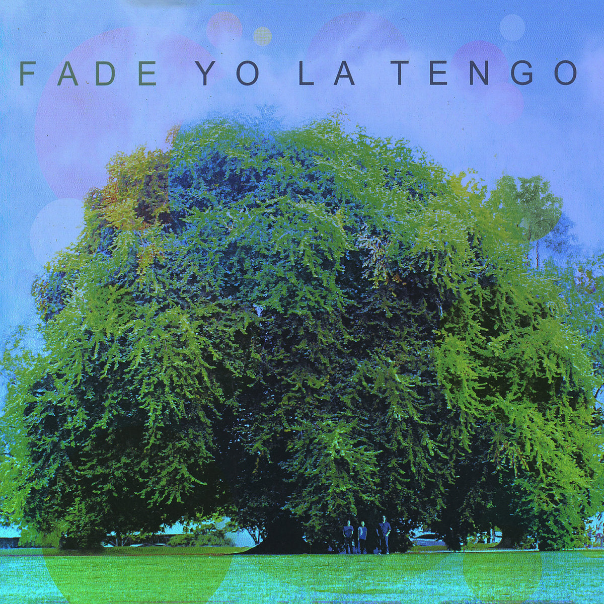 Yo La Tengo: Fade (CD)