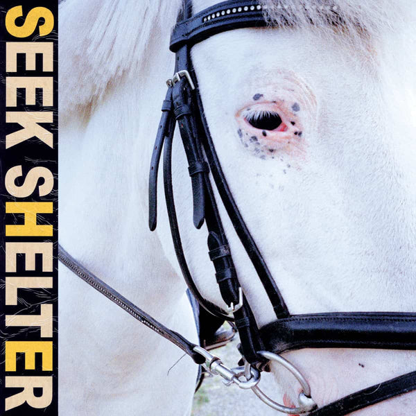 Iceage: Seek Shelter (Coloured Vinyl LP)