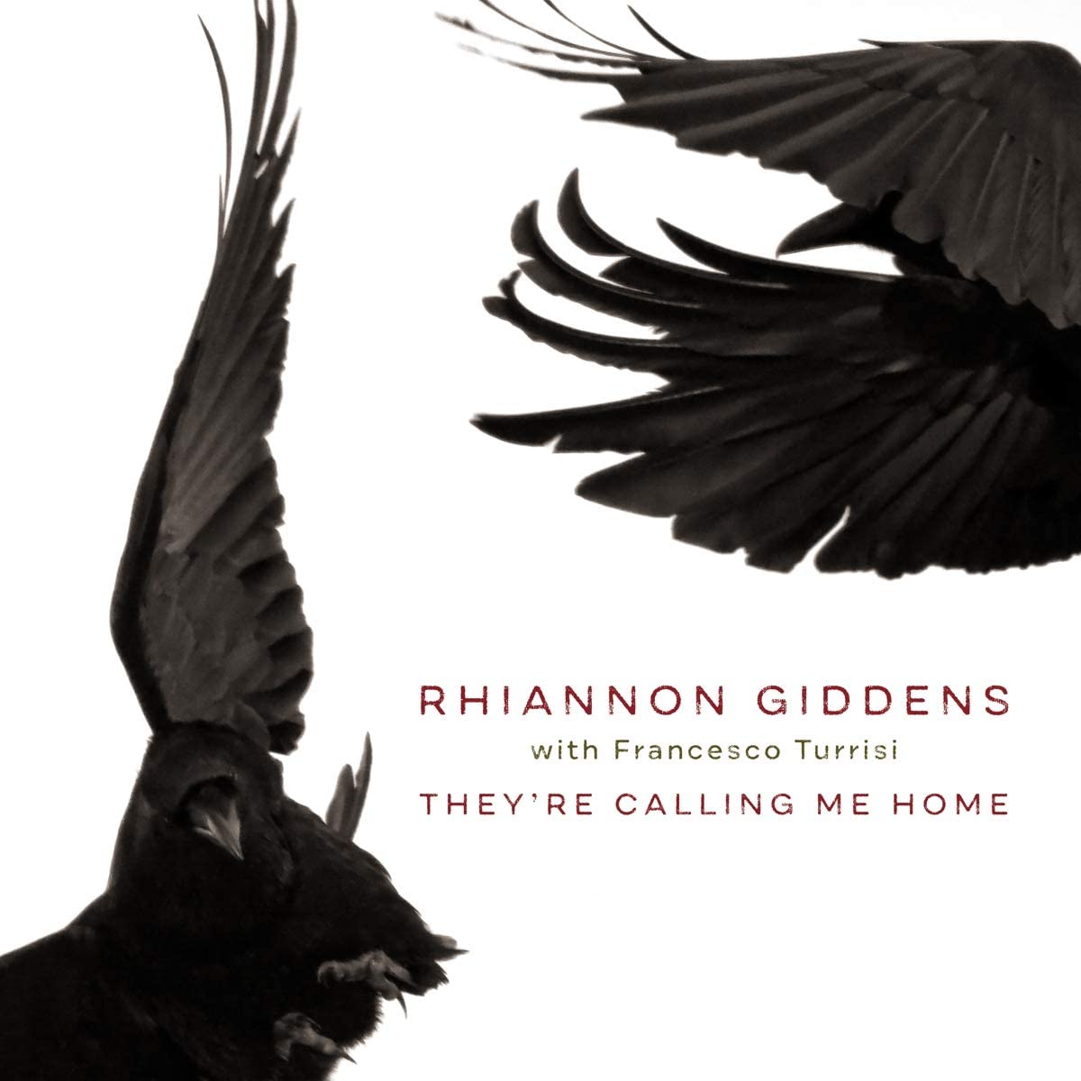 Giddens, Rhiannon: They're Calling Me Home (Vinyl LP)