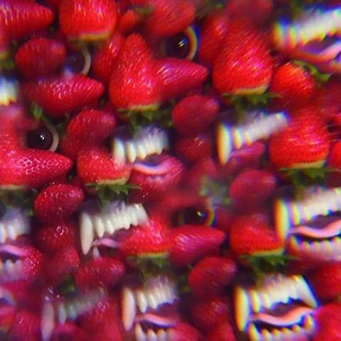 Thee Oh Sees: Floating Coffin (Vinyl LP)