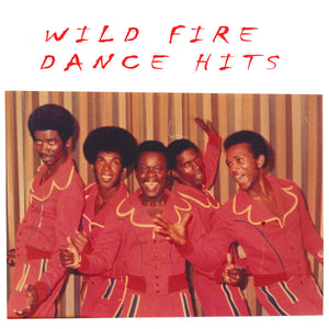 Wild Fire: Dance Hits (Vinyl LP)