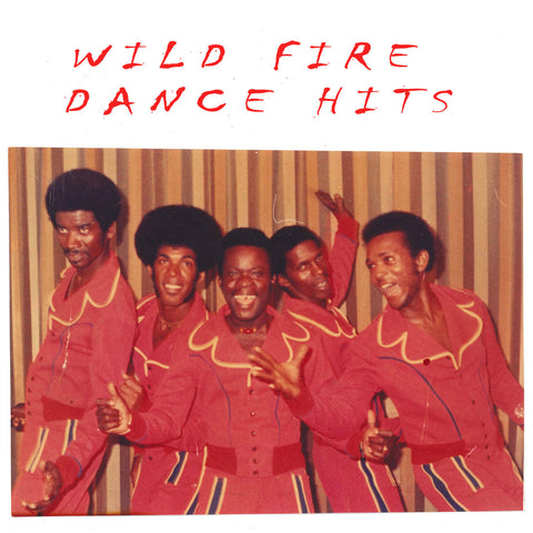 Wild Fire: Dance Hits (Vinyl LP)