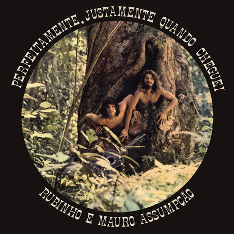 Assumpção, Rubinho E Mauro: Perfeitamente, Justamente Quando Cheguei (Vinyl LP)