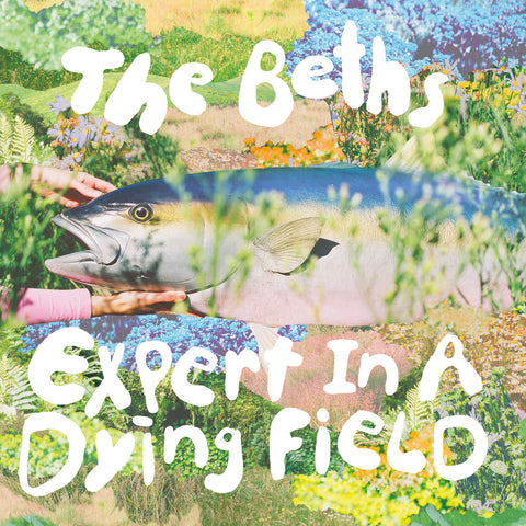 Beths,The: Expert In A Dying Field (Vinyl LP)
