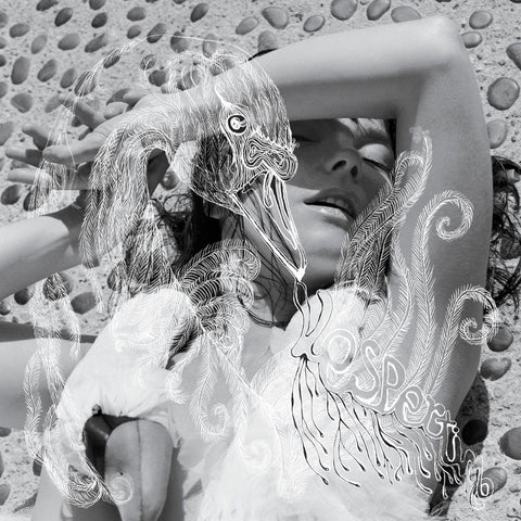Björk: Vespertine (Vinyl 2xLP)