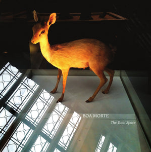 Boa Morte: The Total Space (Vinyl LP)