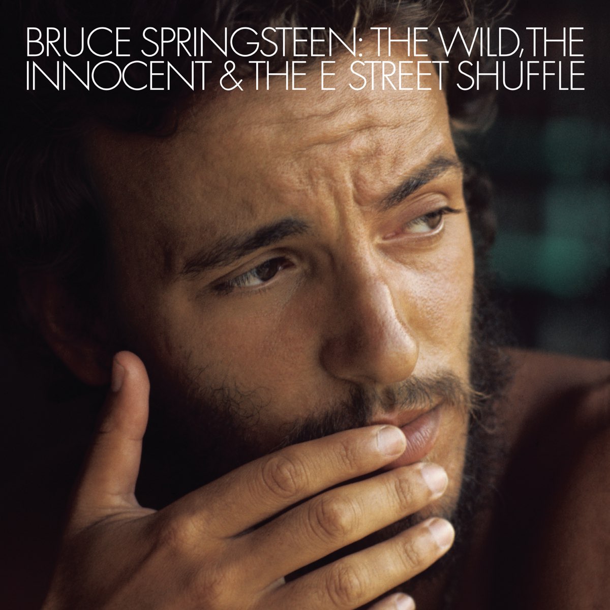 Springsteen, Bruce: The Wild, The Innocent & The E Street Shuffle (Vinyl LP)