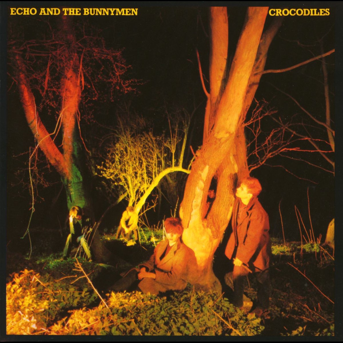 Echo & The Bunnymen: Crocodiles (Vinyl LP)