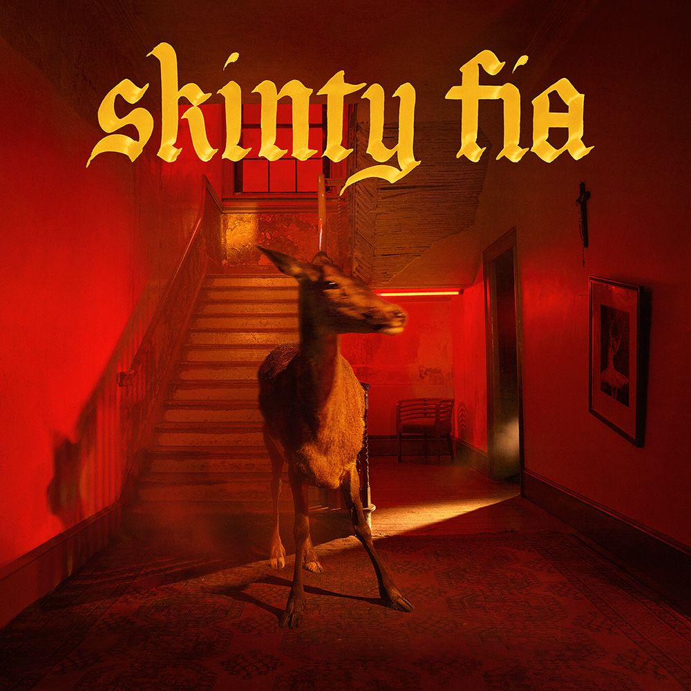 Fontaines D.C.: Skinty Fia (Vinyl LP)