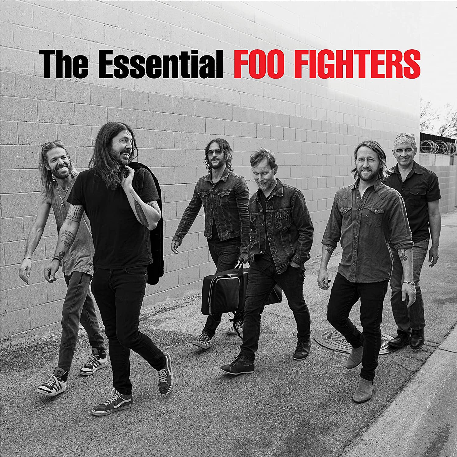 Foo Fighters: The Essential Foo Fighters (Vinyl 2xLP)