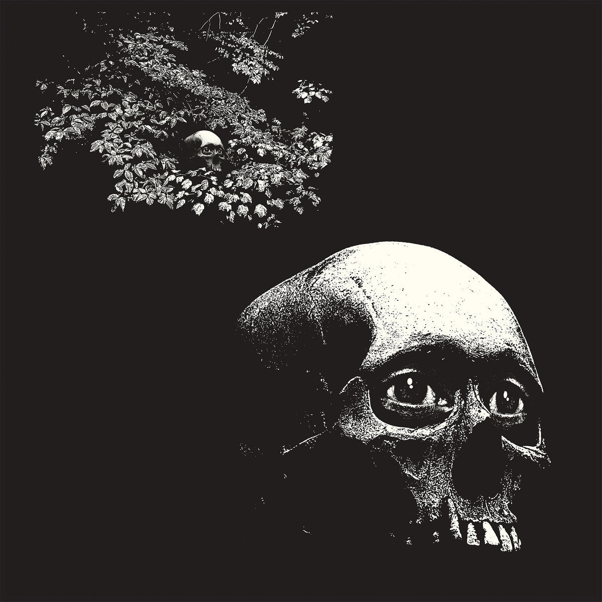 Osees: A Foul Form (Coloured Vinyl LP)