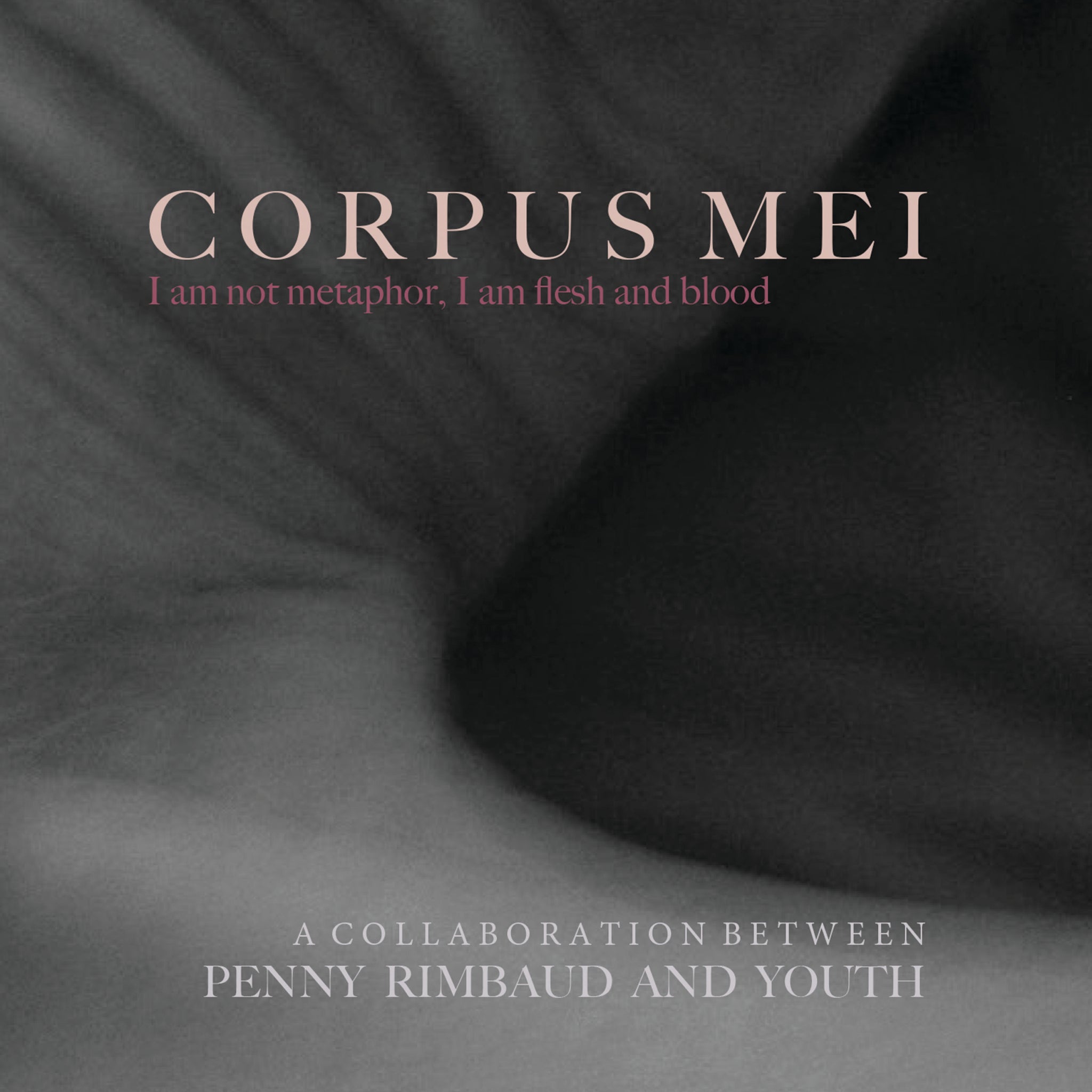 Penny Rimbaud & Youth: Corpus Mei (Vinyl 2xLP)
