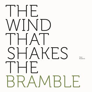 Broderick, Peter: The Wind That Shakes The Bramble (Vinyl LP)