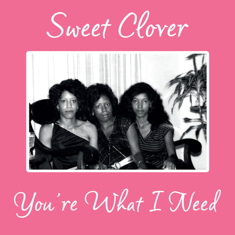 Sweet Clover: You're What I Need (Vinyl 12")