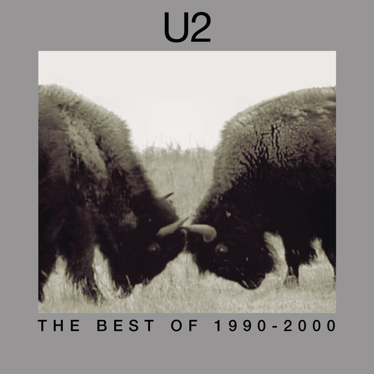 U2: The Best Of 1990-2000 (Vinyl 2xLP)