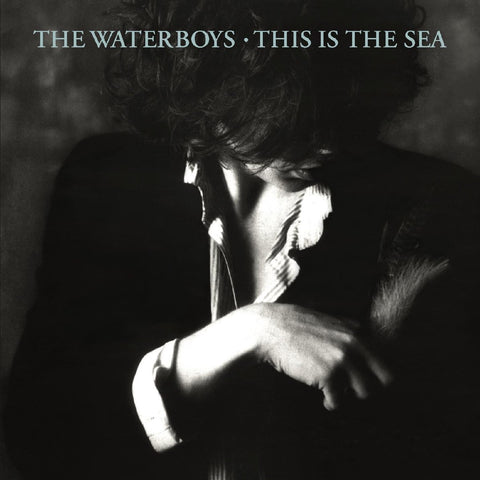 Waterboys, The: This Is The Sea (Vinyl LP)